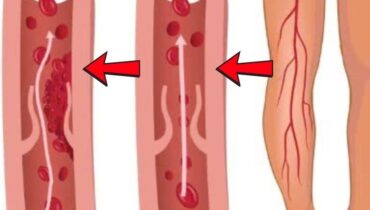 This Leaf Used for Centuries in India Could Help Balance Your Blood Sugar — Here’s How to Prepare It This Leaf Used for Centuries in India Could Help Balance Your Blood Sugar — Here’s How to Prepare It