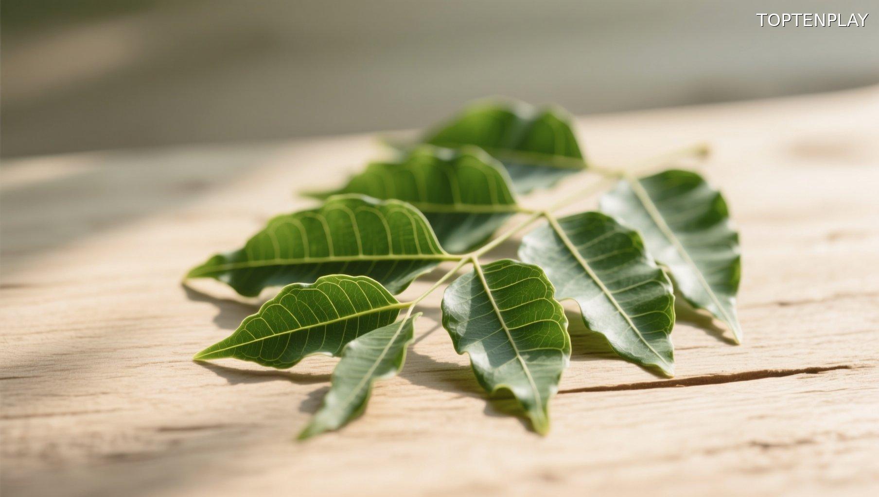 Image d'illustration © TopTenPlay EN