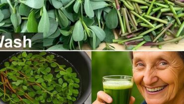 This Forgotten Weed Has More Omega-3 Than Most Fish (And It’s Growing in Your Garden)