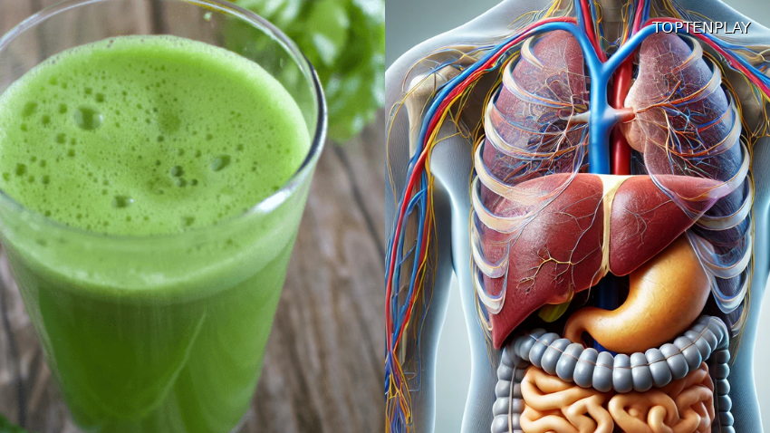 Image d'illustration © TopTenPlay EN