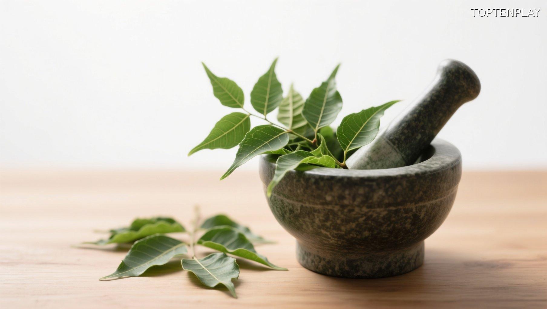 Image d'illustration © TopTenPlay EN