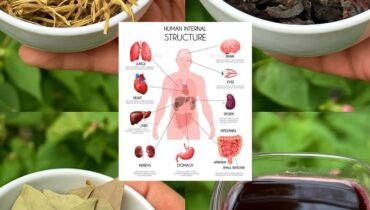 This Morning Ritual With 3 Herbs That May Lower Blood Sugar Without Medication