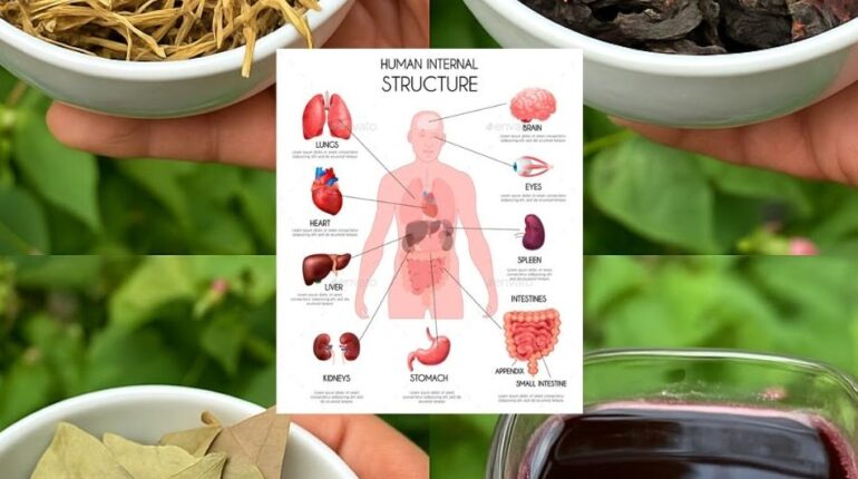 anti-inflammatory herbs beetroot blood sugar colon health tips Diabetes Management herbal teas for digestion Morning Routine natural remedies 