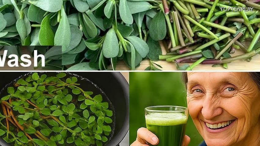 Image d'illustration © TopTenPlay EN