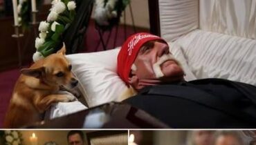 Hulk Hogan’s Chihuahua Duke Lays His Head on the Coffin, and the Room of Champions Breaks Down in Tears