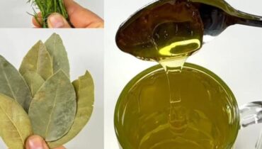 The Secret Remedy Herbalists Have Been Recommending for Better Sleep—Finally Revealed The Secret Remedy Herbalists Have Been Recommending for Better Sleep—Finally Revealed