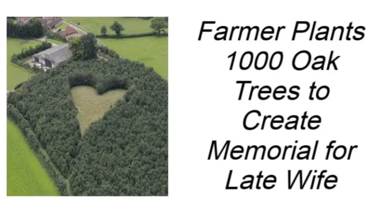 1000 oak trees story farmer love memorial Gloucestershire oak tribute heart-shaped oak grove Winston Howes memorial 