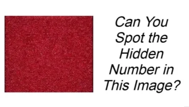 Hidden Number Illusion: Can You Spot the Secret 571 in This Red Speckle Puzzle? Hidden Number Illusion: Can You Spot the Secret 571 in This Red Speckle Puzzle?