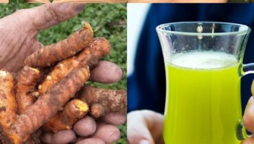 Guava Leaves, Turmeric & Lemon: How This 3-Ingredient Drink Supports Blood Sugar, Digestion and Natural Detox Guava Leaves, Turmeric & Lemon: How This 3-Ingredient Drink Supports Blood Sugar, Digestion and Natural Detox