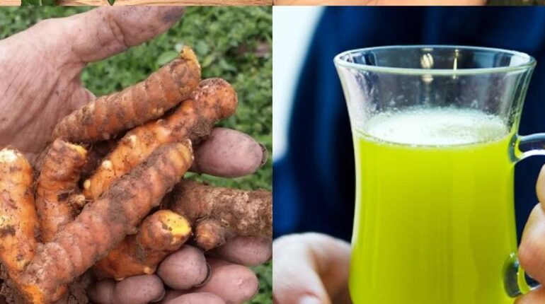 avoid extreme detox beetroot blood sugar beetroot digestion issues guava leaves antibacterial benefits natural remedies tropical health drinks turmeric 