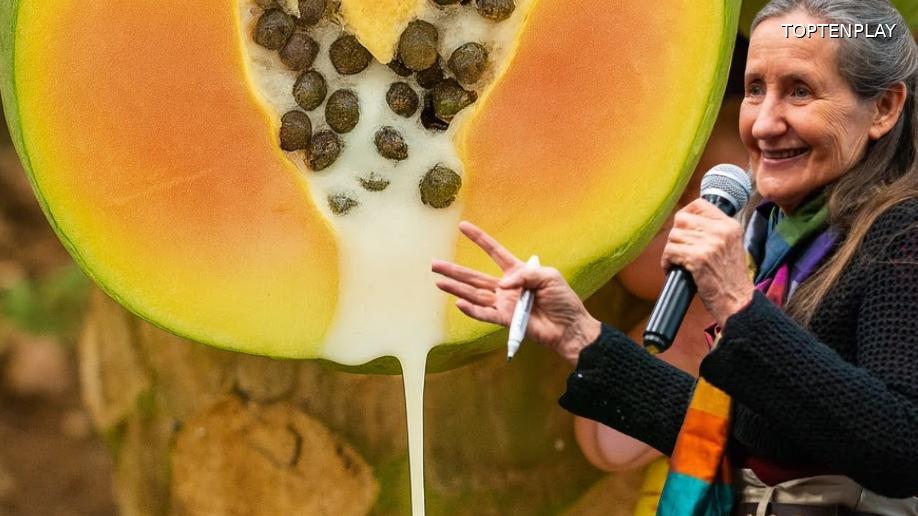 Image d'illustration © TopTenPlay EN