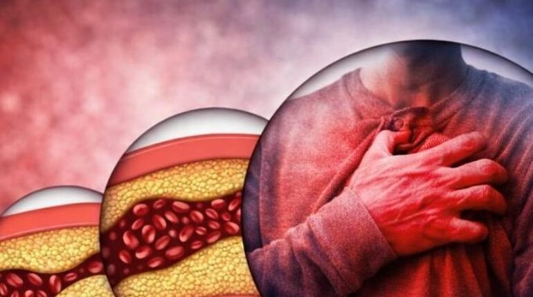 blood circulation bone and joint health prevention Detoxification Herbal Remedies Metabolism Natural Wellness 