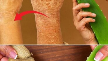 aloe vera and amla oil Collagen Production ginger Kalanchoe skin care Natural Ingredients radiant skin secret 