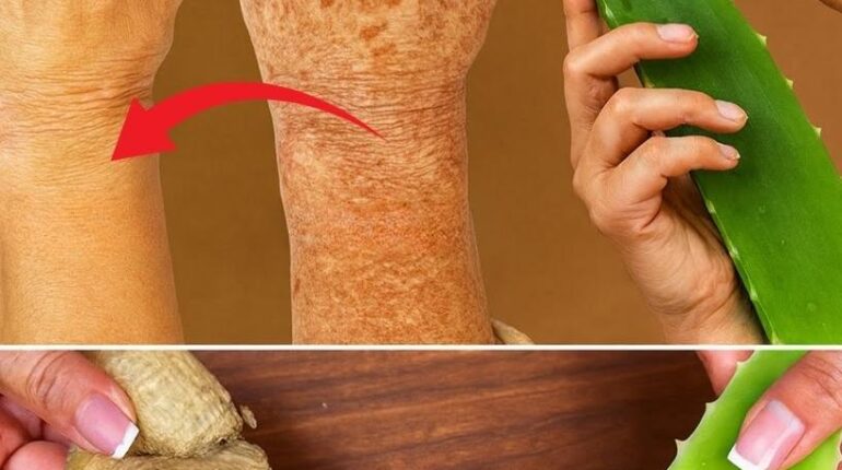 aloe vera and amla oil Collagen Production ginger Kalanchoe skin care Natural Ingredients radiant skin secret 