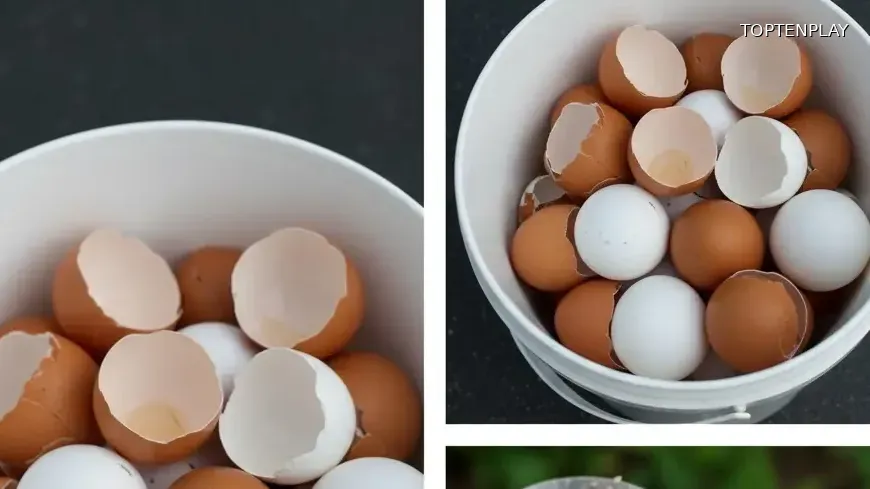 Image d'illustration © TopTenPlay EN