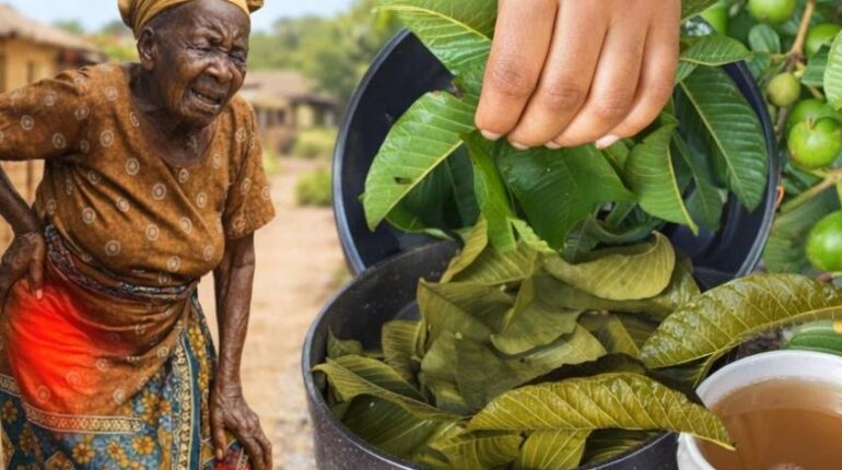 banana heart health banana vinegar health benefits beetroot blood sugar cholesterol lowering herbs Diabetes Management digestive health Guava Leaf Tea 