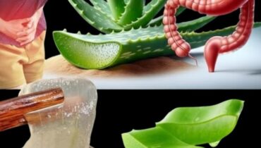 Aloe Vera and Honey Water: How This Daily Ritual Supports Skin, Digestion, and Hormonal Balance in Women Aloe Vera and Honey Water: How This Daily Ritual Supports Skin, Digestion, and Hormonal Balance in Women