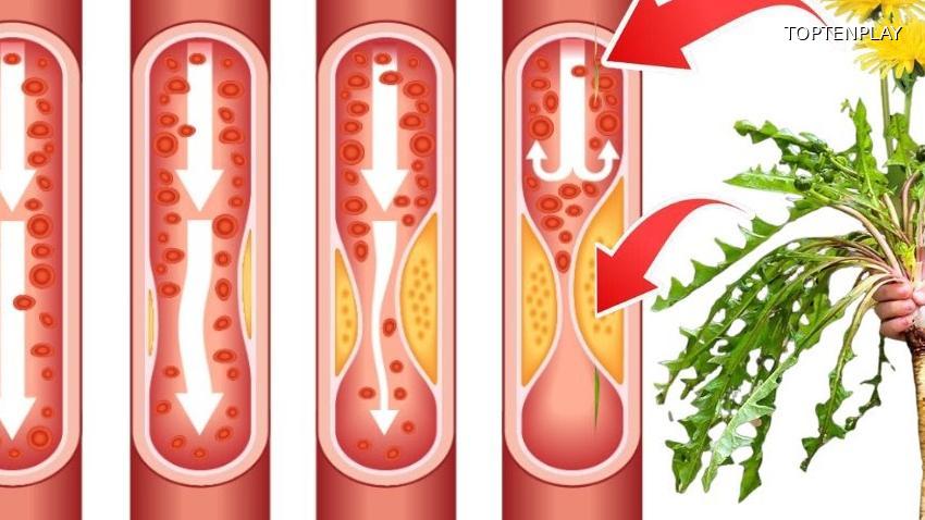 Image d'illustration © TopTenPlay EN