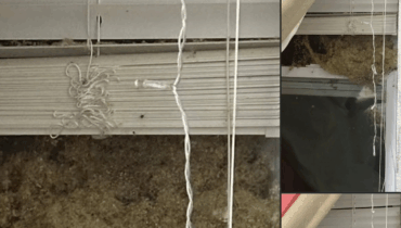 Two Weeks Away—The Shocking Discovery Inside Their Daughter’s Bedroom Wall Two Weeks Away—The Shocking Discovery Inside Their Daughter’s Bedroom Wall