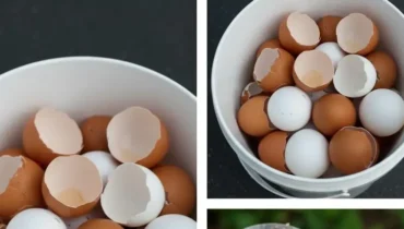 Boil eggshells and discover what it does to your bones after 47: “I didn’t know this was possible…” Boil eggshells and discover what it does to your bones after 47: “I didn’t know this was possible…”