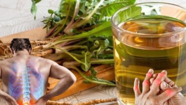 avoid extreme detox beetroot digestion issues cardiac wellness Dandelion Root Herbalism Liver Support natural remedies 