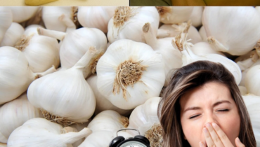 Garlic Under Your Pillow: The Traditional Method That Helps You Fall Asleep Faster in 3 Nights Garlic Under Your Pillow: The Traditional Method That Helps You Fall Asleep Faster in 3 Nights