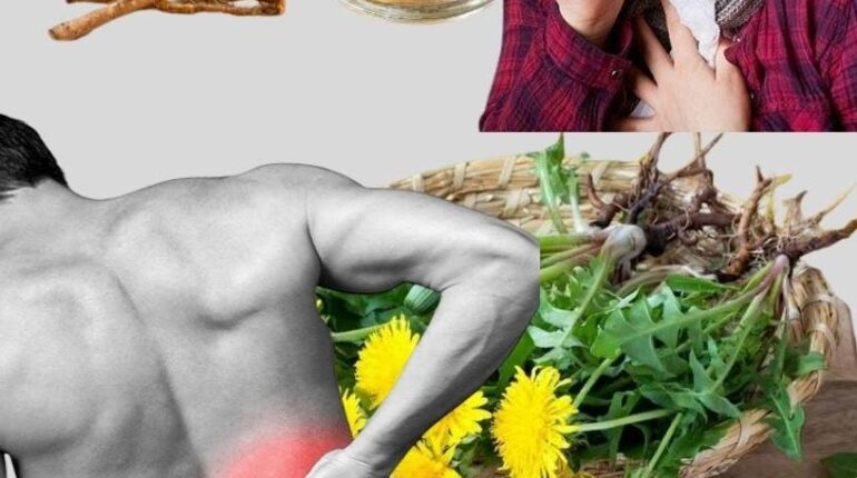 avoid extreme detox banana vinegar health benefits cardiac wellness Dandelion either alongside traditional medicine or as part of a daily routine to prevent illness. Herbalism natural remedies 