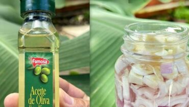 aloe vera hair care antifungal properties of garlic Breakage Reduction garlic home remedies garlic olive oil salve Hair Strength natural hair growth remedy 