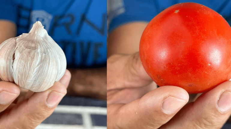 antifungal properties of garlic cloves inflammation lungs garlic home remedies natural remedies Prostate Health turmeric Women's Health 