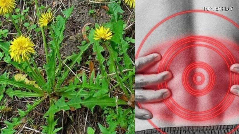 Image d'illustration © TopTenPlay EN