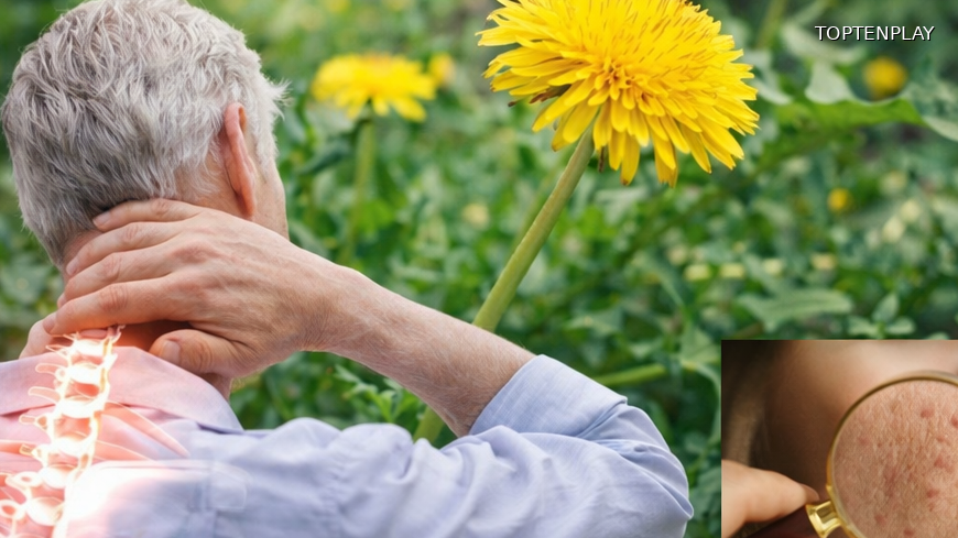 Image d'illustration © TopTenPlay EN