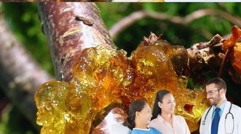 avoid extreme detox beetroot digestion issues carrot skin benefits either alongside traditional medicine or as part of a daily routine to prevent illness. natural remedies Peach Resin Tao Jiao 