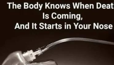 Your Nose Can Detect Death Before It Happens – Scientists Finally Explain How