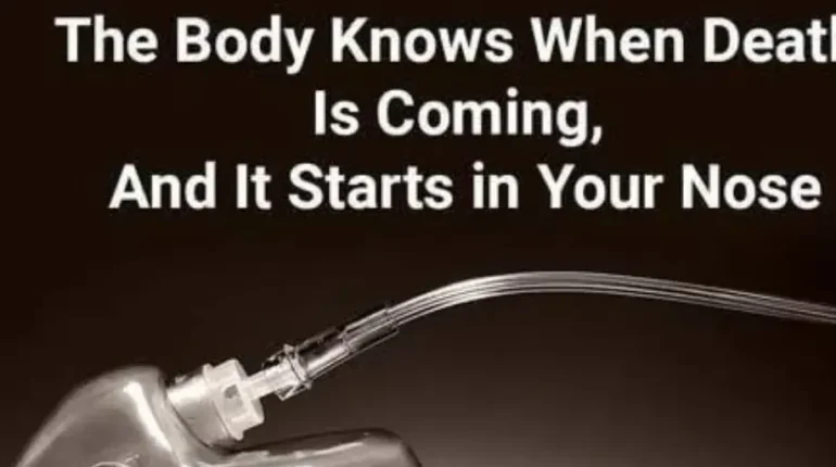 Advocate Health arthritis regenerative medicine autism research awareness after death can humans smell storm controversial science 