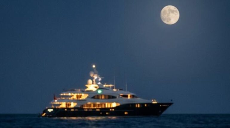 childhood bully revenge Conspiracy family betrayal Forensics inspiring survival story Intelligence True Crime 