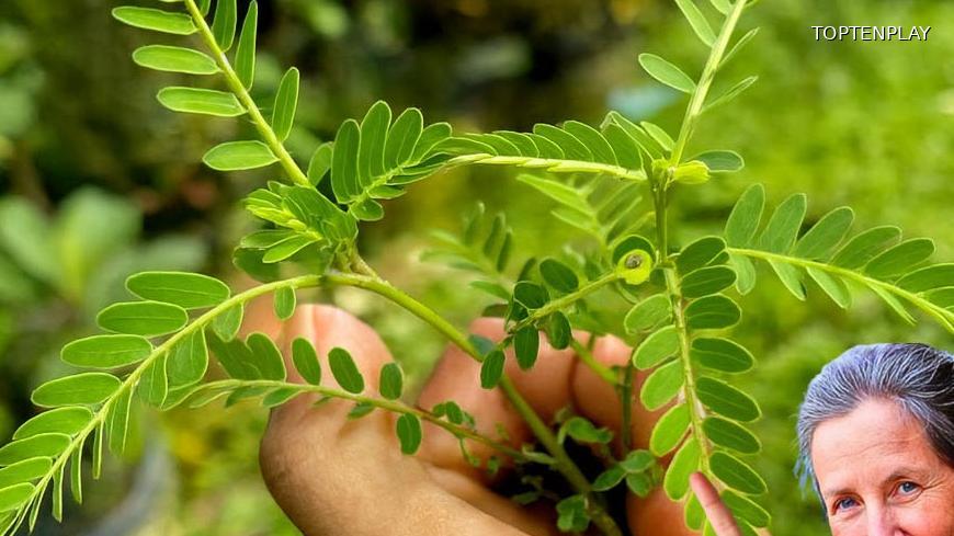 Image d'illustration © TopTenPlay EN