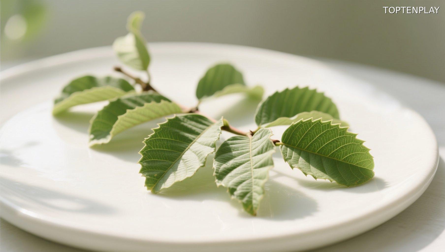 Image d'illustration © TopTenPlay EN