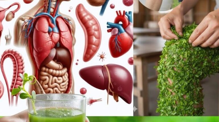 banana heart health beetroot nutrition DIY Gardening eggs superfood benefits fish oil omega-3s Plant-Based purslane health benefits 