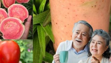 Daily Wellness Drink: How Soursop, Guava, and Tomato Support Blood Sugar, Liver Health, and Immunity Without Supplements Daily Wellness Drink: How Soursop, Guava, and Tomato Support Blood Sugar, Liver Health, and Immunity Without Supplements