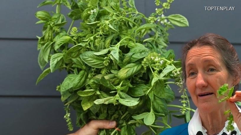 Image d'illustration © TopTenPlay EN