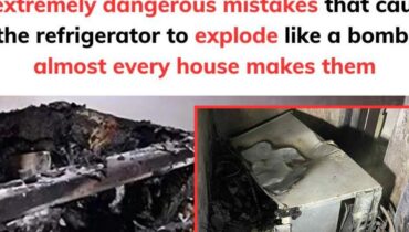 At 47, This Kitchen Habit Could Burn Down Your Home: “I Never Knew My Fridge…”