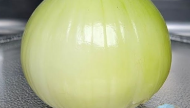 The Secret Ingredient Chefs Never Tell You: “I put onions in the microwave and…” The Secret Ingredient Chefs Never Tell You: “I put onions in the microwave and…”