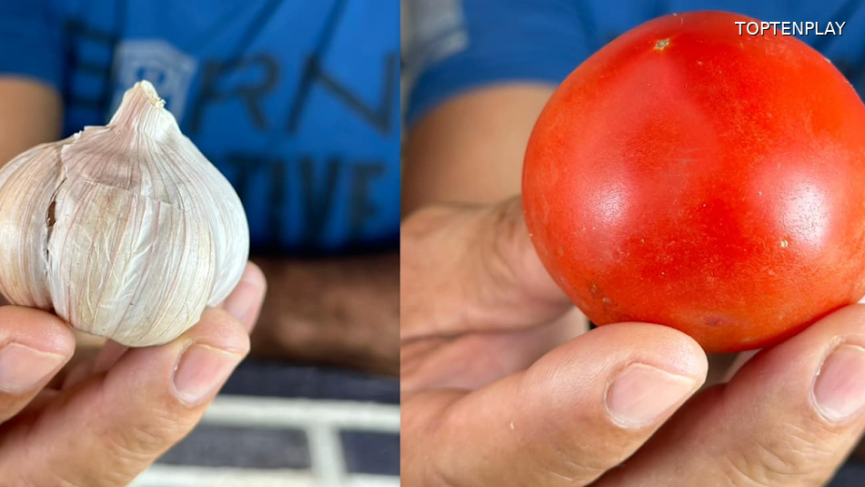 Image d'illustration © TopTenPlay EN