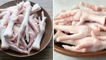 Chicken Feet: How This Overlooked Ingredient Naturally Boosts Iron, Collagen, and Blood Platelet Recovery Chicken Feet: How This Overlooked Ingredient Naturally Boosts Iron, Collagen, and Blood Platelet Recovery