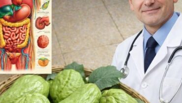 Chayote After 60: How This $2 Green Squash Supports Joint Flexibility and Heart Health Naturally Chayote After 60: How This $2 Green Squash Supports Joint Flexibility and Heart Health Naturally