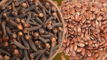 Intestinal Parasites: How Cloves and Flax Seeds Create a Natural Defense for Digestive Health Intestinal Parasites: How Cloves and Flax Seeds Create a Natural Defense for Digestive Health
