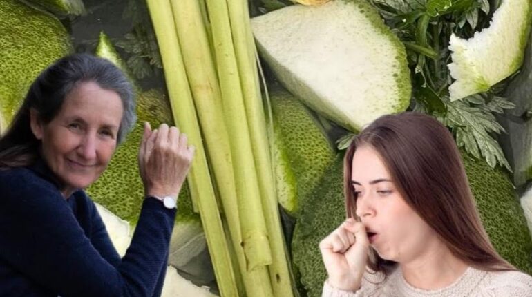 acid reflux Body Chills cold and flu cure Congestion Relief Herbal Steam natural remedies 