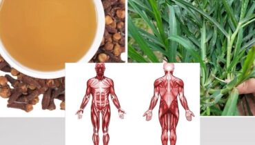 cardiac wellness colon health tips digestive health garlic home remedies Herbal Medicine natural remedies sage joint pain relief 