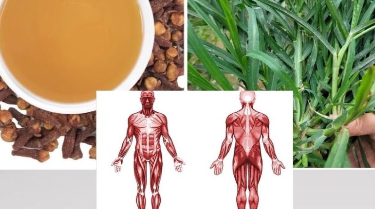 cardiac wellness colon health tips digestive health garlic home remedies Herbal Medicine natural remedies sage joint pain relief 