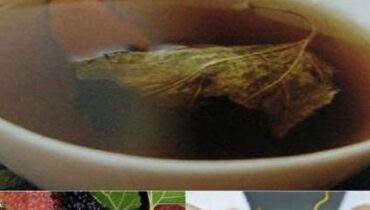 Dried Black Mulberry Leaves: How This Nutrient-Dense Plant Regulates Blood Sugar and Supports Cardiovascular Health